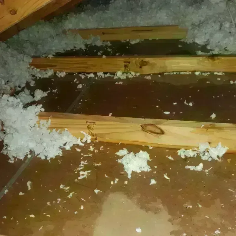 Attic Water Damage in Wolf Creek, UT