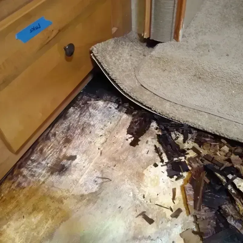 Best Wood Floor Water Damage Service in Wolf Creek, UT